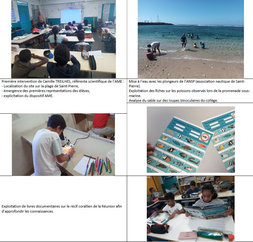 Image d'illustration pour : notre rive, revit ...