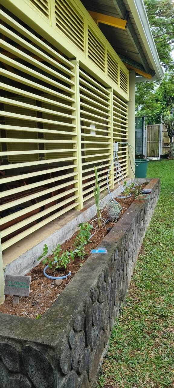Image d'illustration pour : Arrosage Automatique du Potager Aromatique du Lycée Pierre Poivre