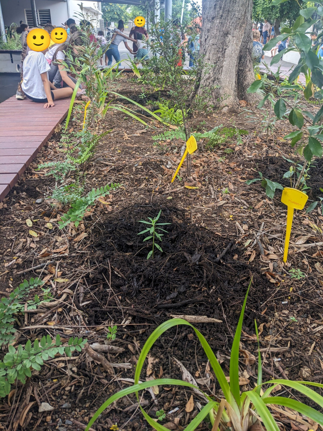 Image d'illustration pour : Les ti bébêtes de nos jardins