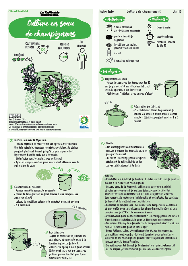 Image d'illustration pour : La culture de champignons pour tous!