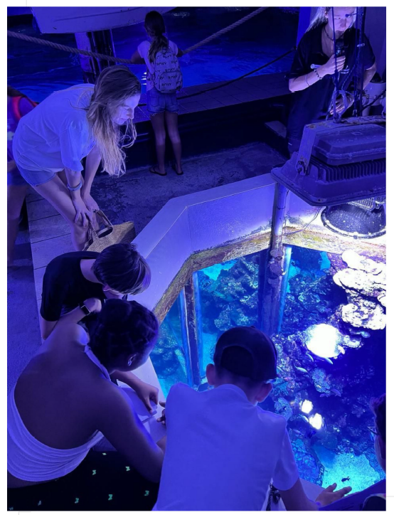 Image d'illustration pour : Une Aire Marine Educative