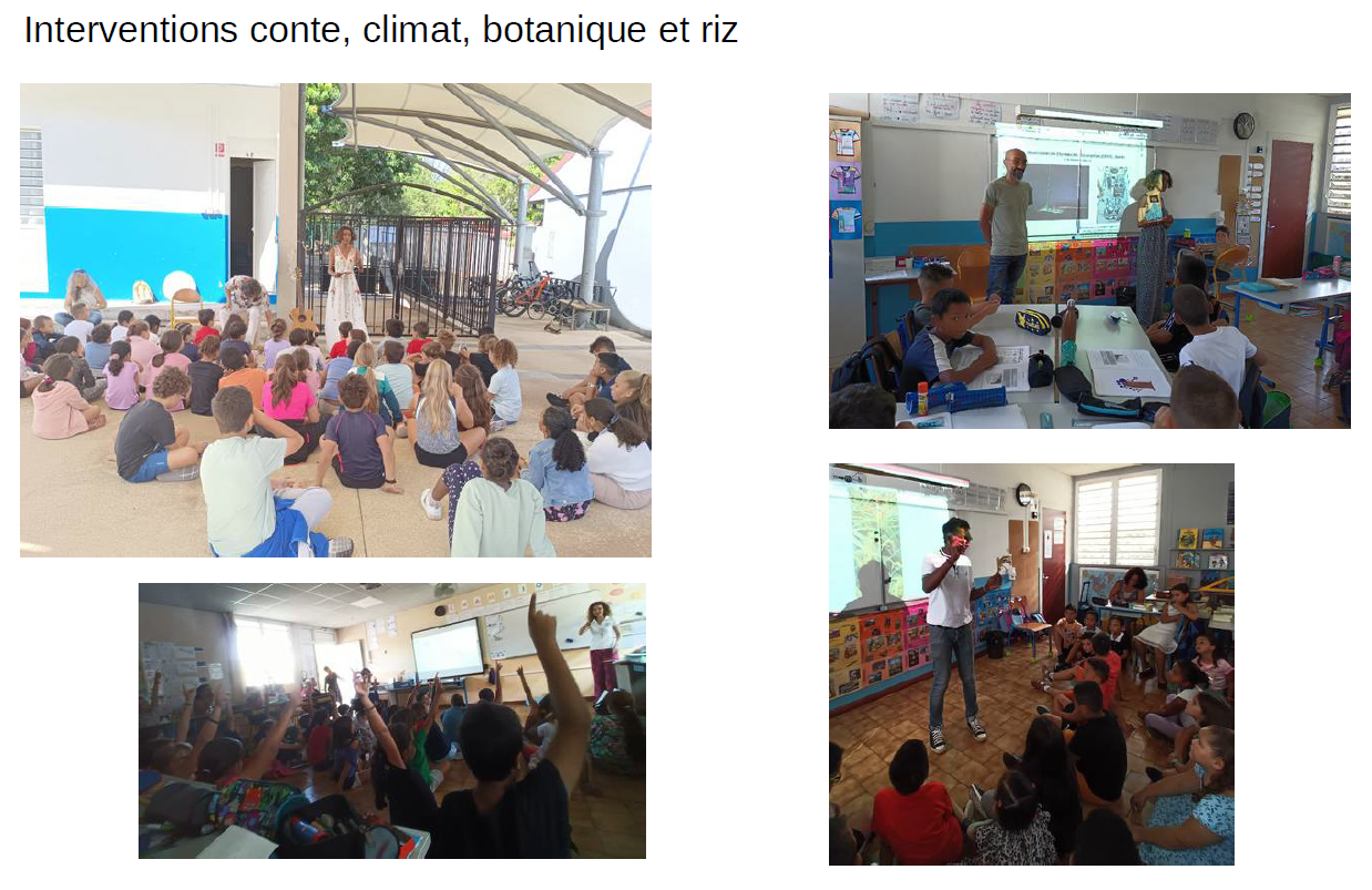 Image d'illustration pour : 1graine2mains