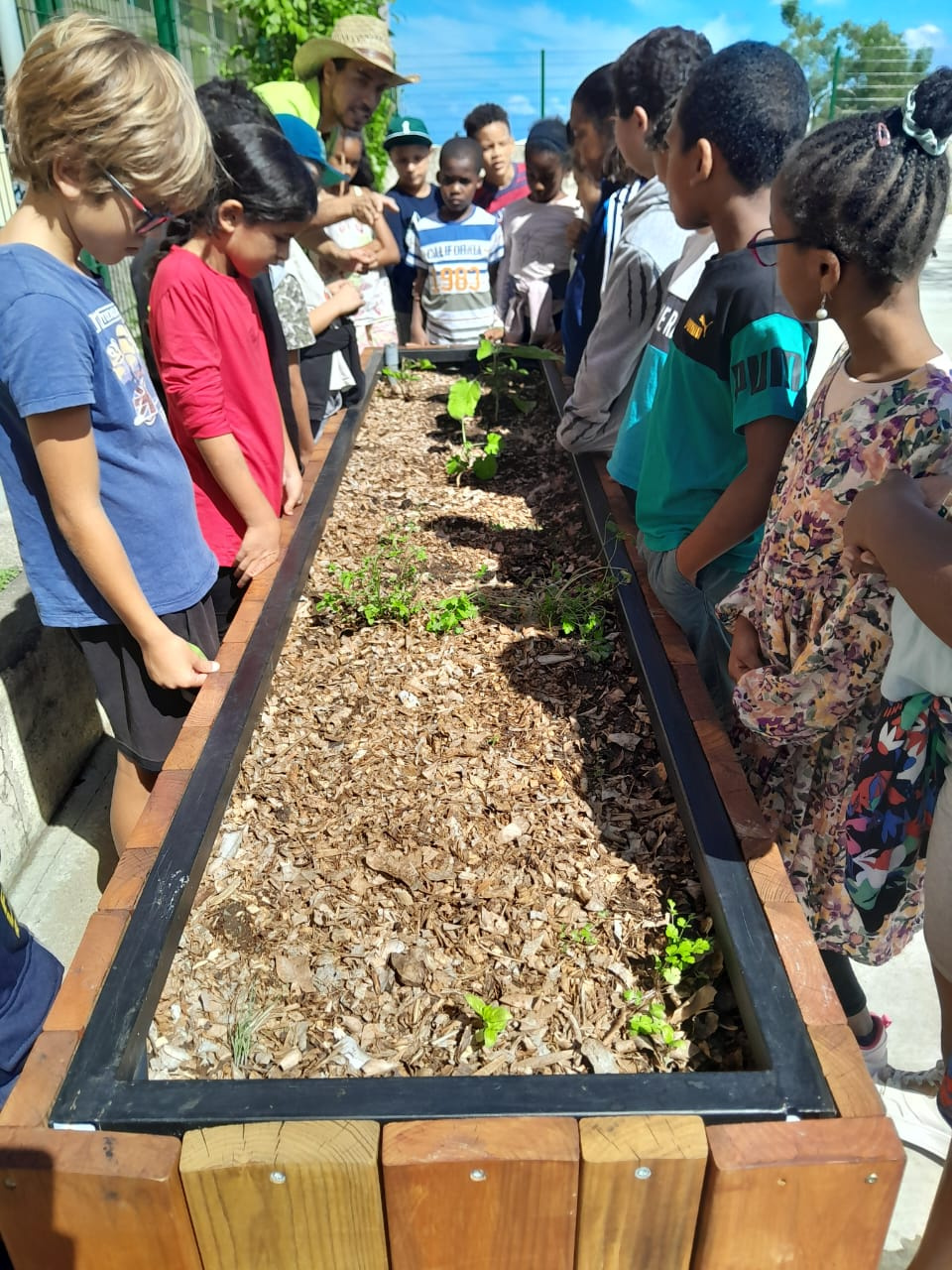 Image d'illustration pour : Un potager pour nos marmailles !