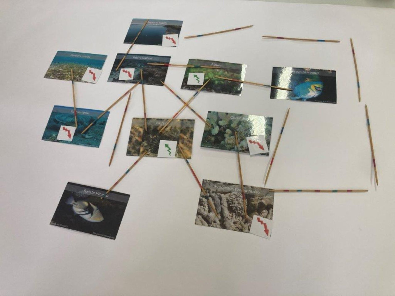 Image d'illustration pour : Image d'illustration pour : A la découverte de la biodiversité A la découverte de la biodiversité