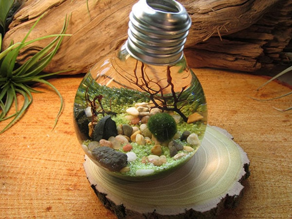 Image d'illustration pour : Atelier Recyclage malin !