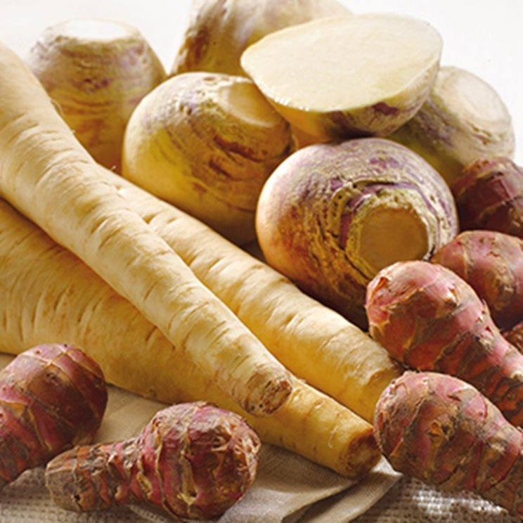 Image d'illustration pour : Mise en place de culture de légumes longtemps