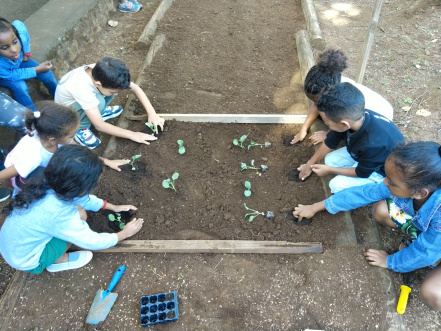 Image d'illustration pour : Un potager à l'école maternelle Louise MICHEL