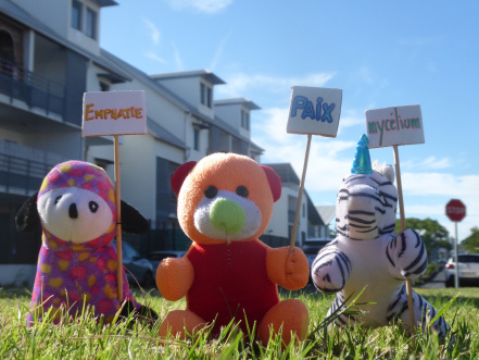 Image d'illustration pour : ZANIMOT