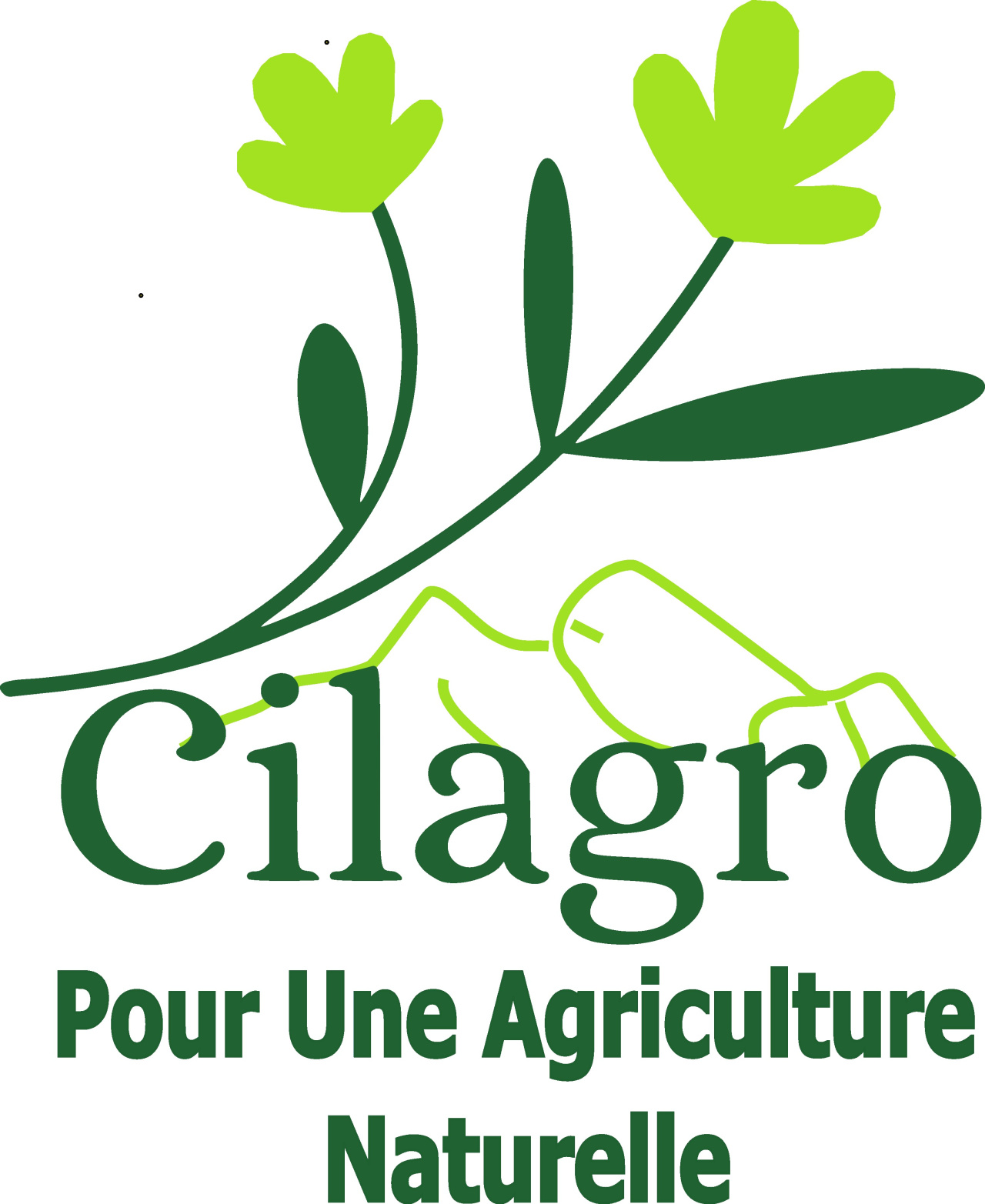 Image d'illustration pour : Récupération des légumes non récoltés