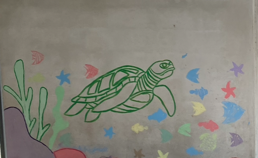 Image d'illustration pour : FORMER DES AMBASSADEURS DES OCEANS