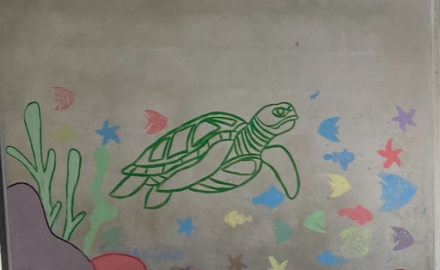 Image d'illustration pour : FORMER DES AMBASSADEURS DES OCEANS