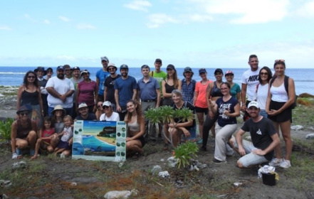 Image d'illustration pour : Alon plant ensemb