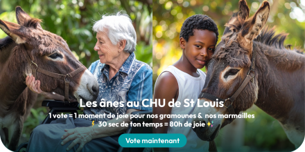 Image d'illustration pour : 3 ânes au CHU de St Louis pour nos gramounes & nos marmailles.