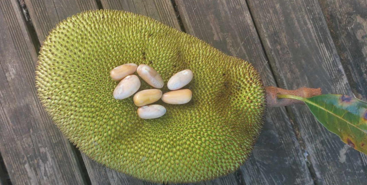 Image d'illustration pour : La mémoire la kour lontan