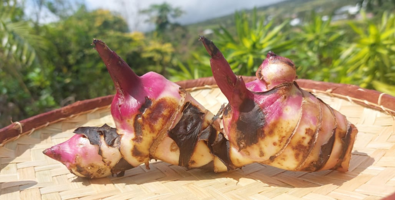 Image d'illustration pour : Nout kizine Nout zistoir