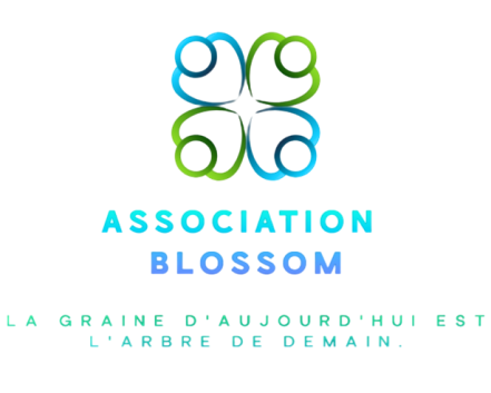 Image d'illustration pour : Blossom – Ateliers d'accompagnement post-judiciaire pour femmes à La Réunion