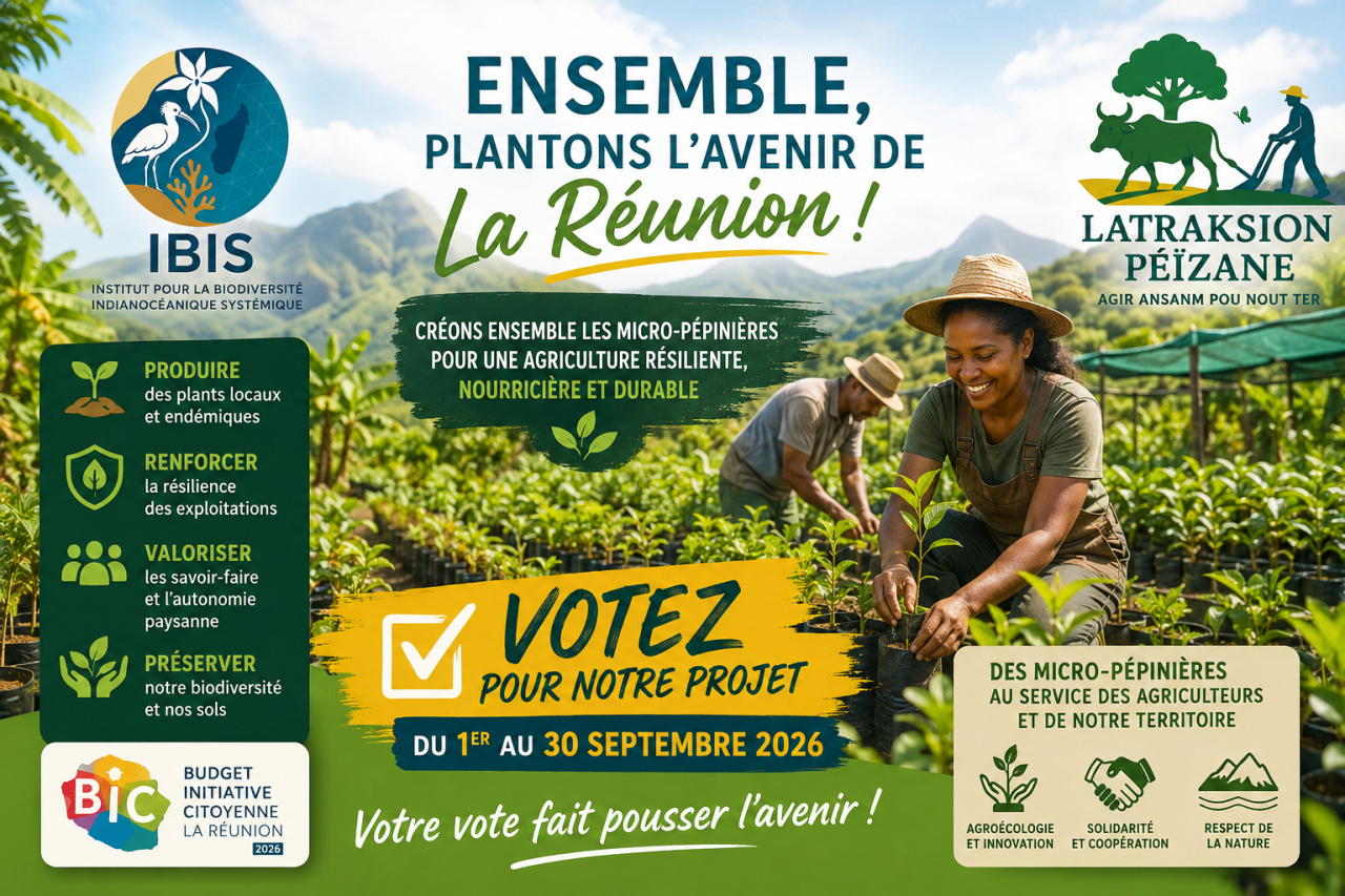 Image d'illustration pour : Nout Zagrikiltèrs, Gardyin Nout Pié D’Bwa Endemik
